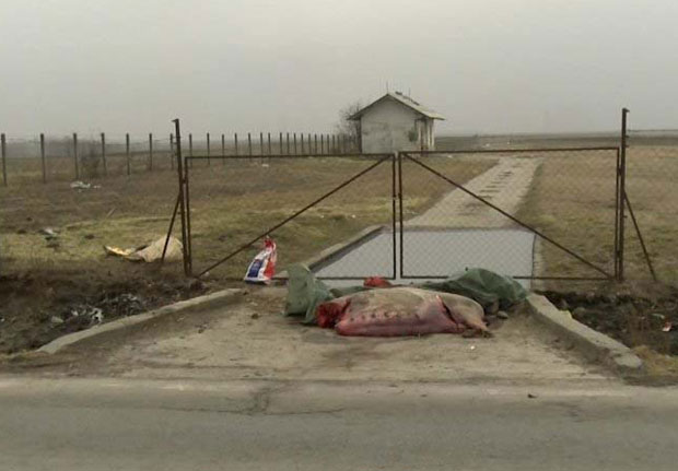 Дивља депонија угинулих животиња на улазу у Бајмок